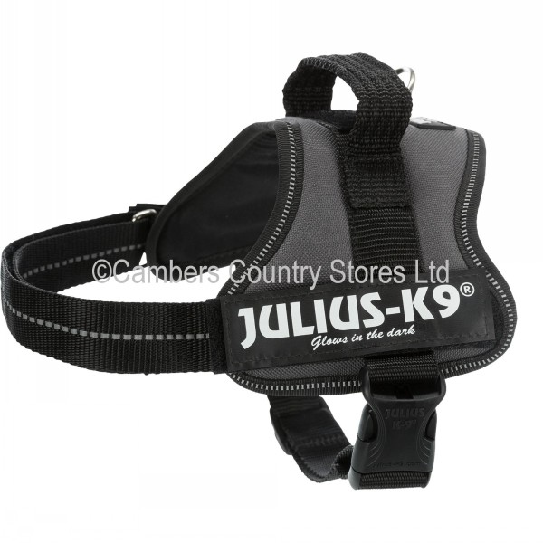 Julius-K9 Power Harness | Cambers Country Store